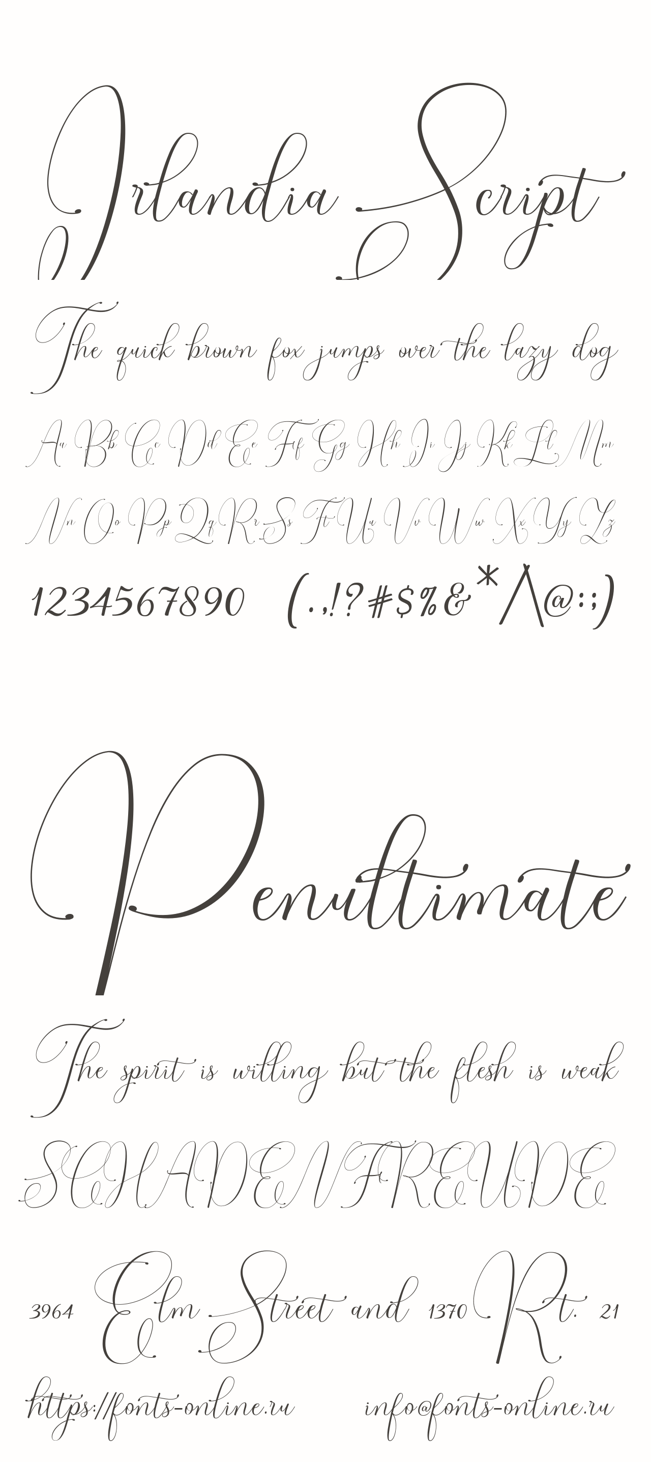Irlandia Script Free Font Download